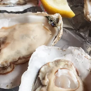 USA Fresh Oyster